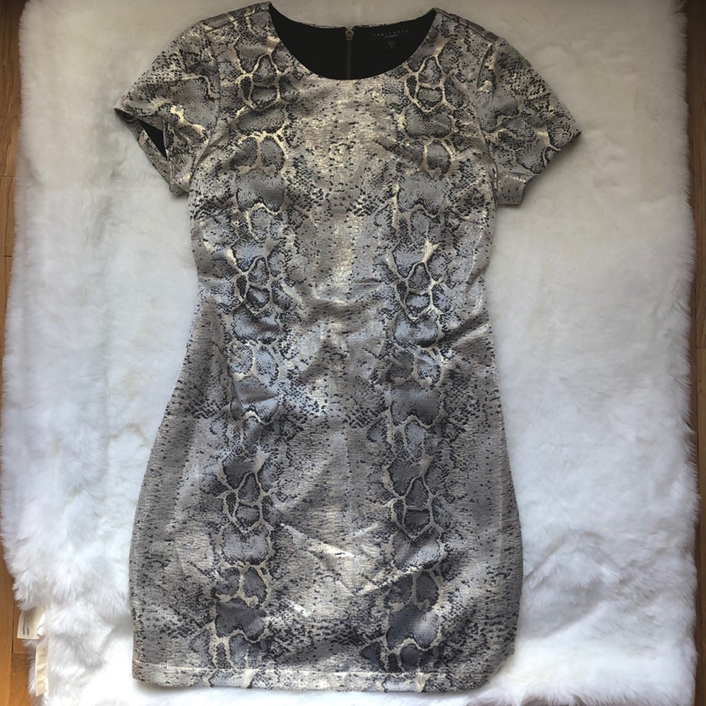 Sanctuary Dress